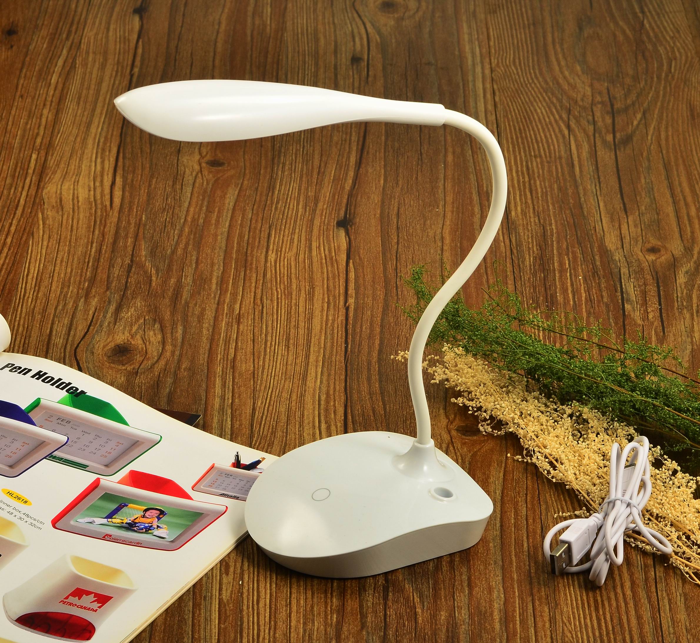 Isun LED Desk Lamp